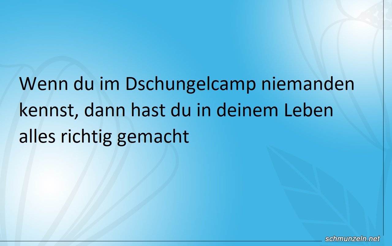 Dschungelcamp