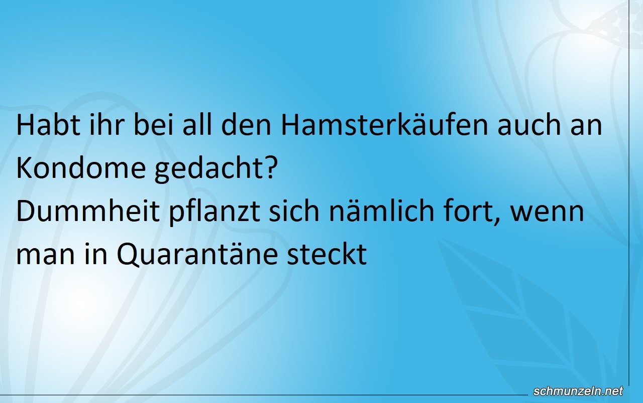 Hamsterkaeufe Dummheit