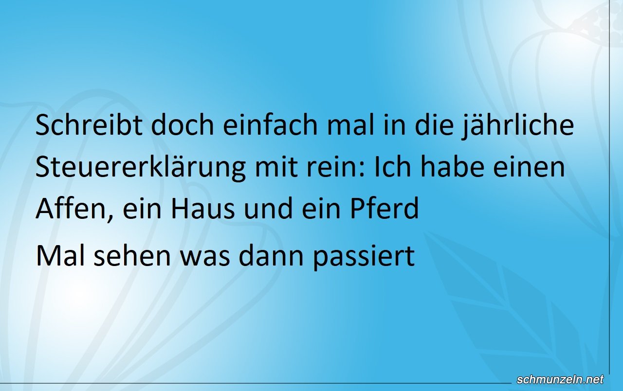 Steuererklaerung neu