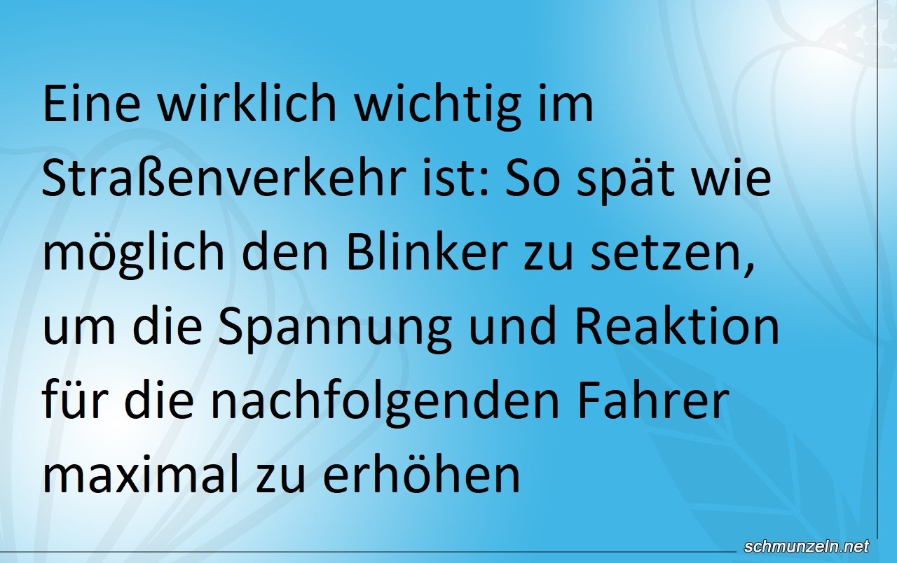 Blinker setzen im Straßenverkehr autofahrer