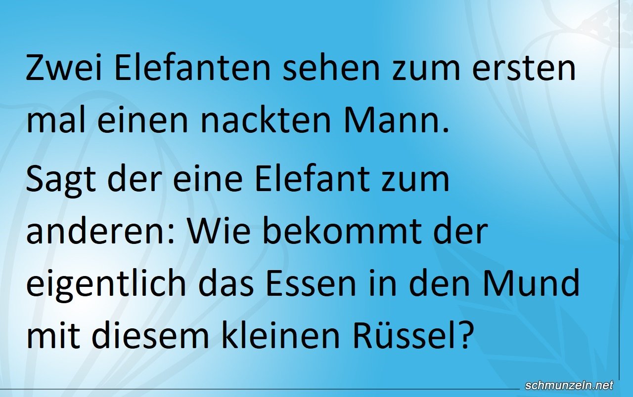 elefantruessel