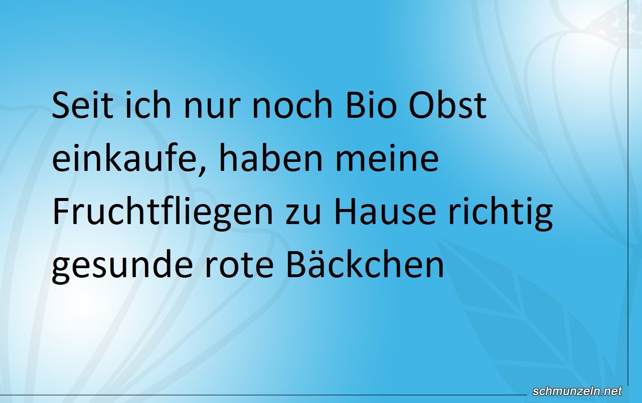 fruchtfliegen