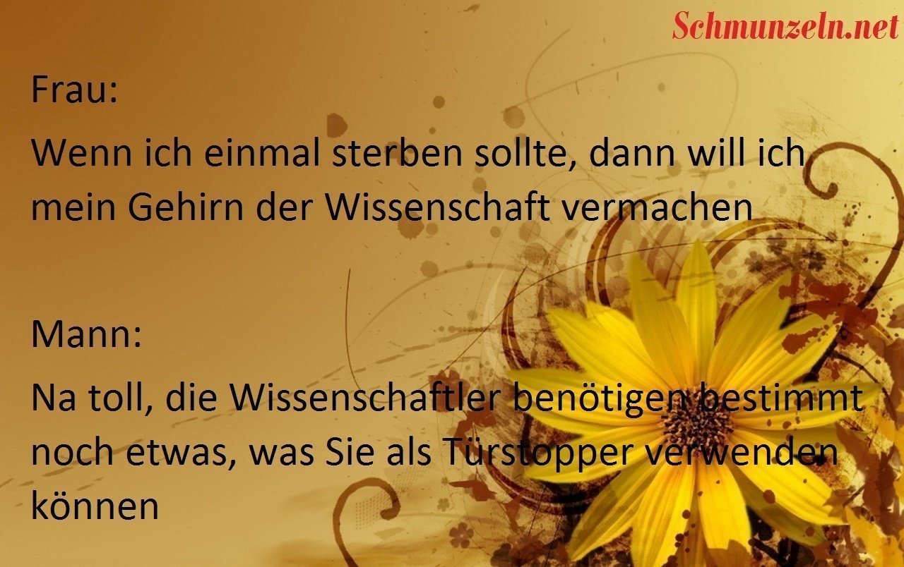 gehirn