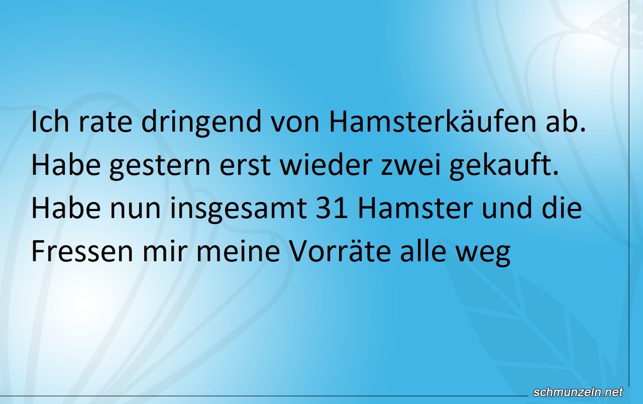 hamster kaeufe