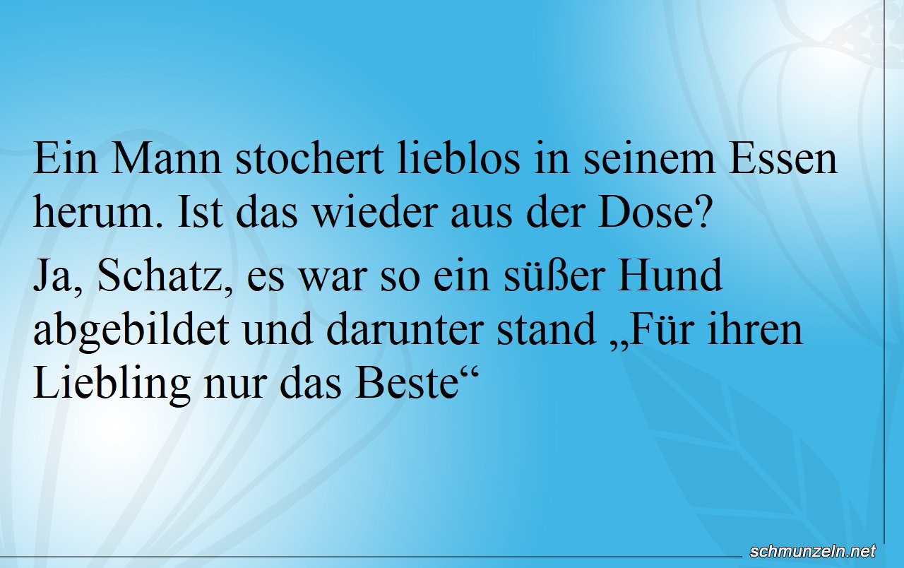 hundefutter