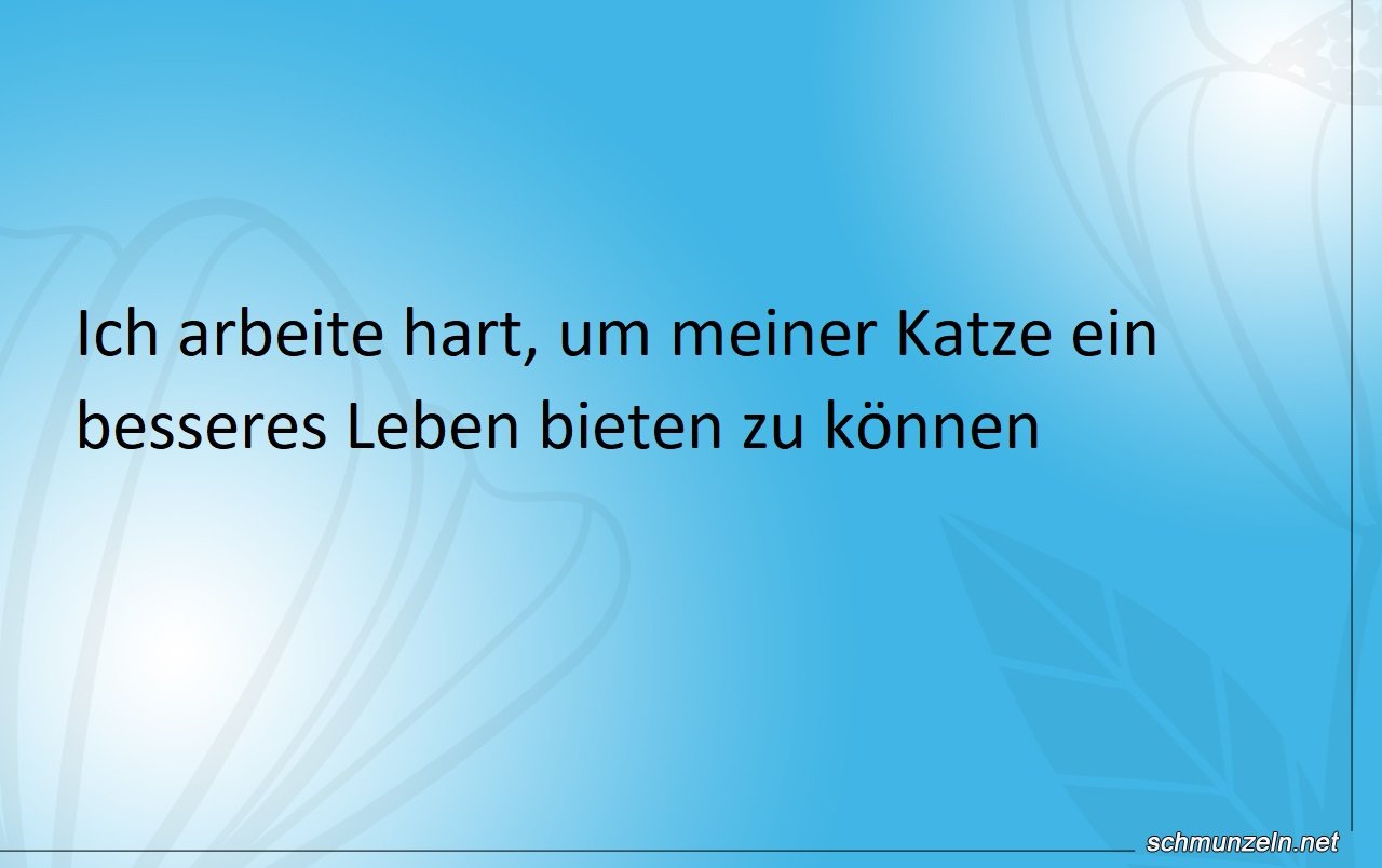 katzenleben