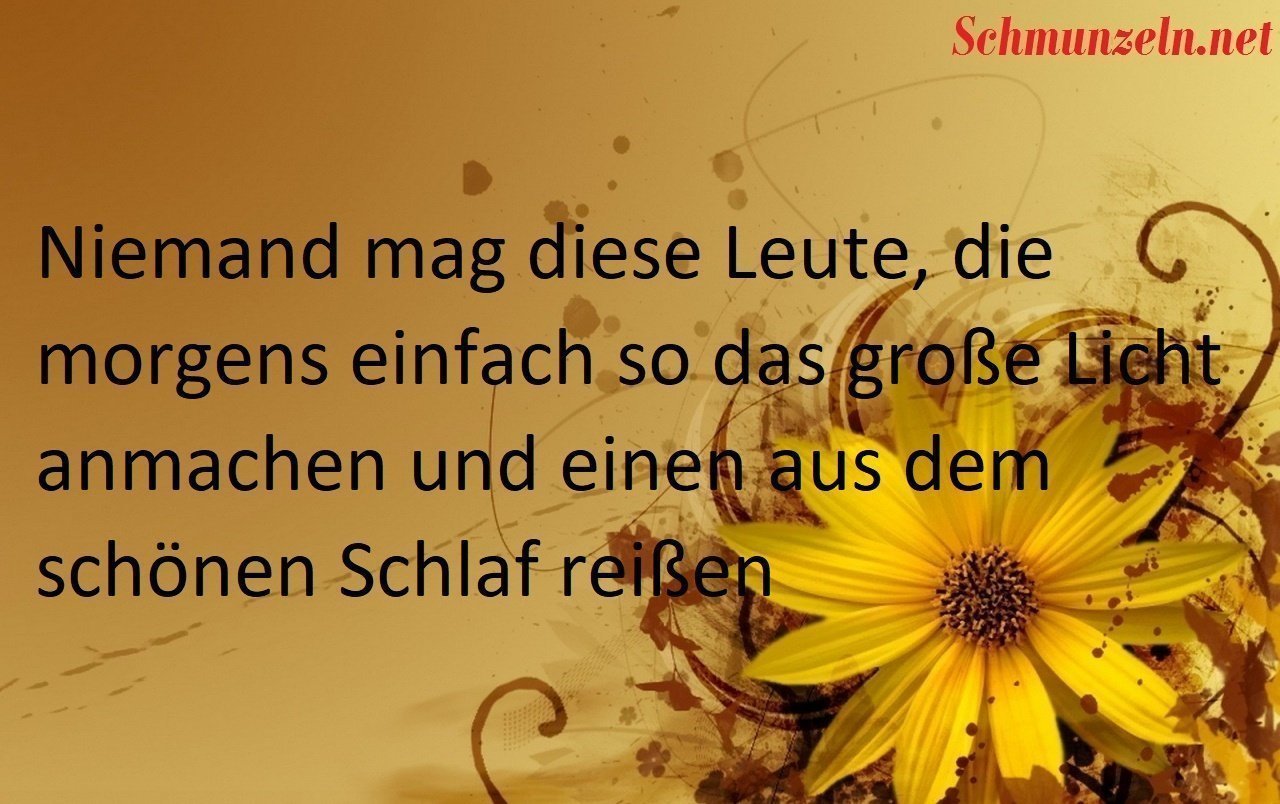 licht
