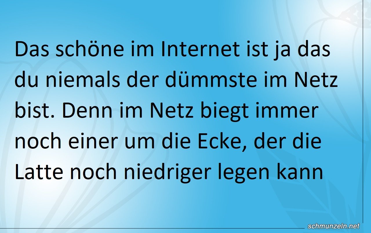 netzlatte