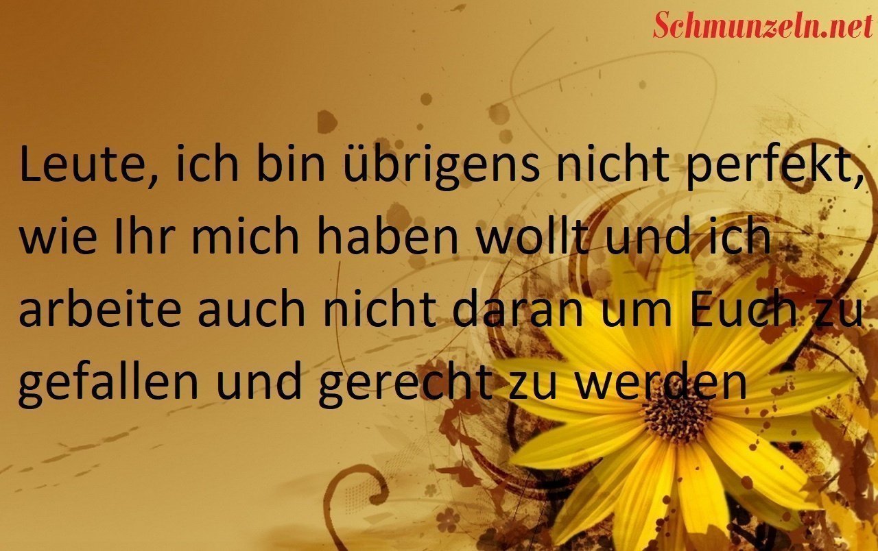 Ich bin übrigens nicht perfekt perfekt