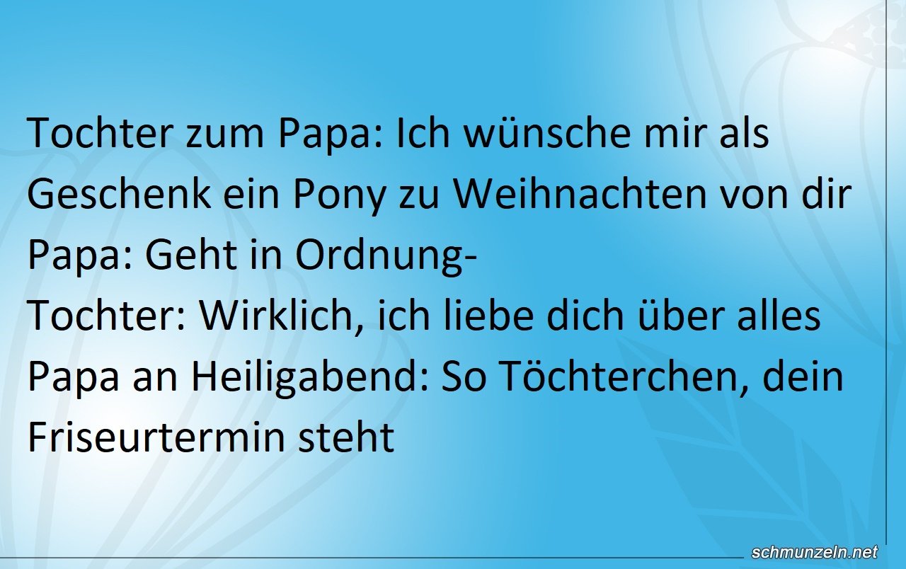 Ein Pony zu Weihnachten wünschen ponny