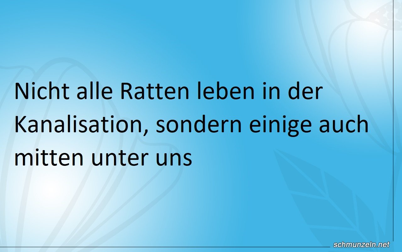 rattenboden