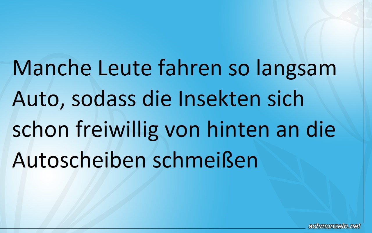 schleicher