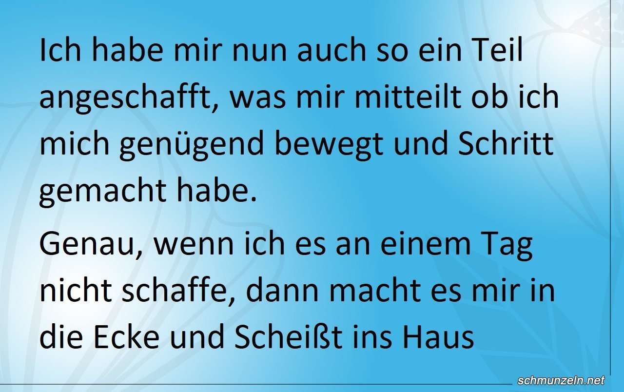 schrittzaehler