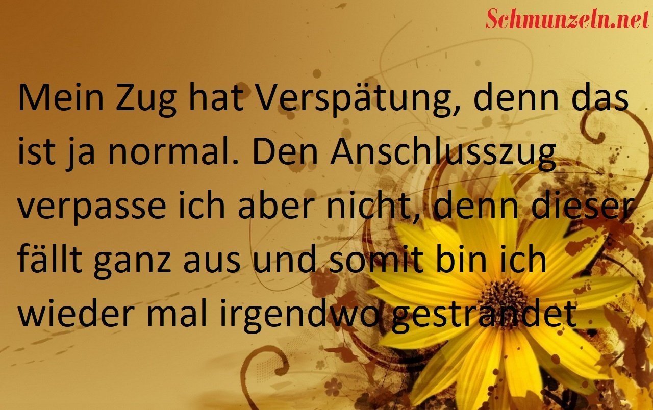 zugpanne