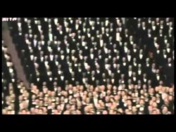 10000 leute singen gemeinsam bee