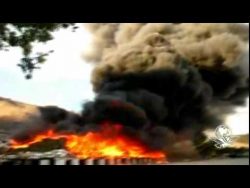 134 tonnen marihuana verbrannt