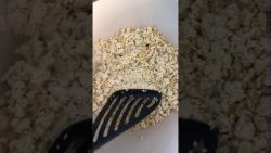 20th century fox intro aus der p