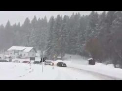 5 audi quattro fahrer ziehen lkw