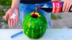 5 crazy tricks mit wassermelonen