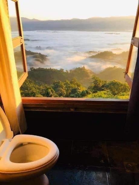 Picdump 040 13
