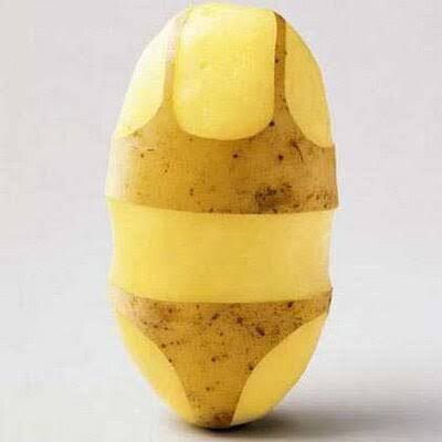 Picdump 040 23