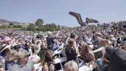 abschlussfeier mit tierischer st