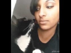 aergerliche katze beisst ihr fra