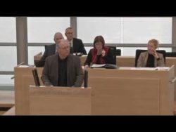 afd abgeordneter ueberzieht rede