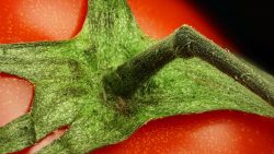 alltagsgegenstaende in der nahau