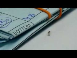 ameise klaut einen diamanten