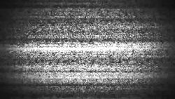 ameisenrennen im fernseher frueh