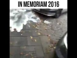 an unsere gefallenen bierfreunde