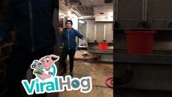 auf dem fischer boot die schwerk