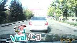 autofahrer lassen entenmutter ue