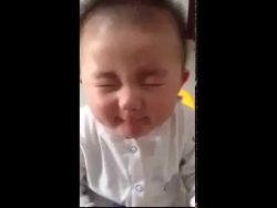 baby kostet zum 1 mal eine zitro