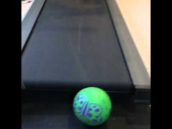 ball und laufband passt das zusa