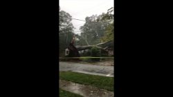 baum faellt im gewitter auf ein