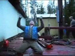 Baumfällung zwischen zwei Gebäuden baumfaellung zwischen zwei gebae