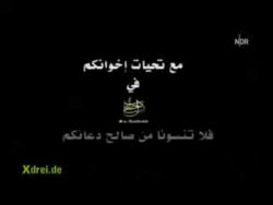 bin laden biene maja song