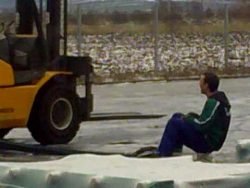 Blödsinn auf Arbeit machen bloedsinn auf arbeit machen