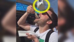 Blondine füttert Möwen blondine fuettert moewen