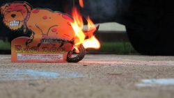 boeser hund das spassige feuerwe