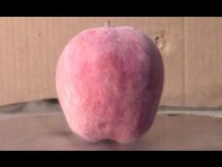 crashtest mit gefrorenem apfel