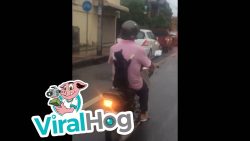 da ist eine katze mit auf dem ro