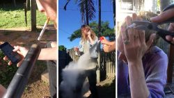 Dann hör doch auf zu Rauchen dann hoer doch auf zu rauchen