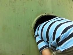 das ave maria mit einem guteh ha