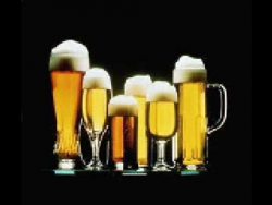 Das Bierlied – Die Deutschlandweite Bier Hymne das bierlied die deutschlandweit