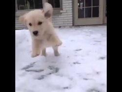 Das erste mal im Schnee unterwegs das erste mal im schnee unterweg