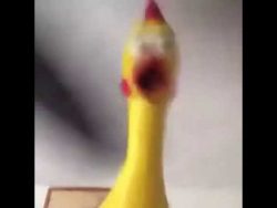 das gummi huhn und die musik