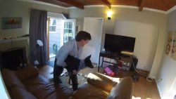 Das Huhn im Wohnzimmer das huhn im wohnzimmer